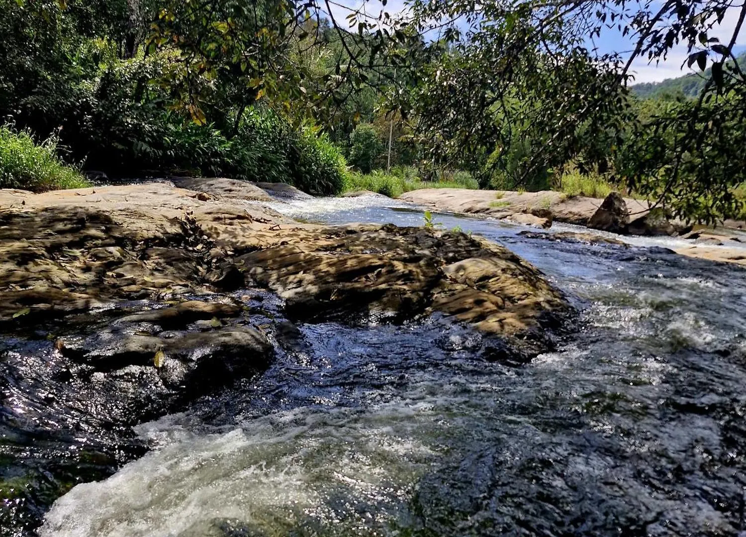 Riveria Eco-Village Munnar Villa